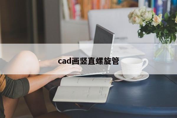 cad畫(huà)豎直螺旋管